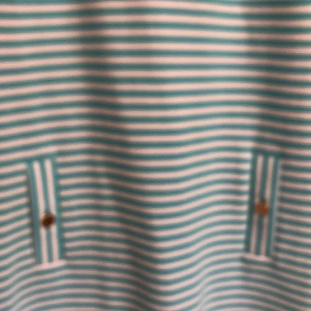 Lilly Pulitzer Blue Striped Dress - Picture 5 of 10